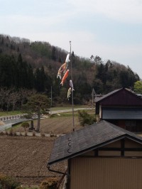 屋根より高い”こいのぼり”